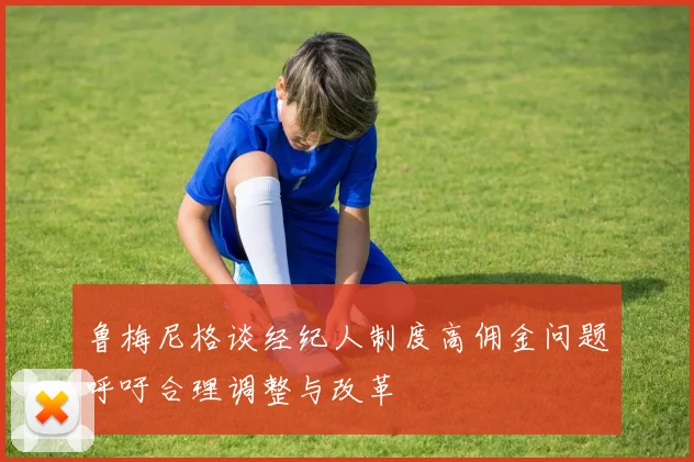 鲁梅尼格谈经纪人制度高佣金问题呼吁合理调整与改革