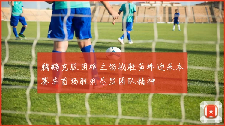 鹈鹕克服困难主场战胜黄蜂迎来本赛季首场胜利尽显团队精神