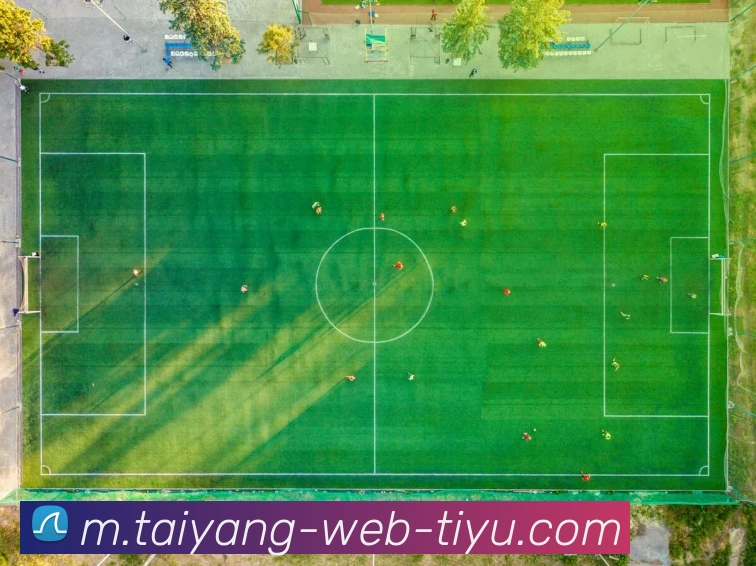 多媒体互动体验