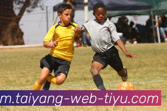 太阳城APP 体育赛事宣传图